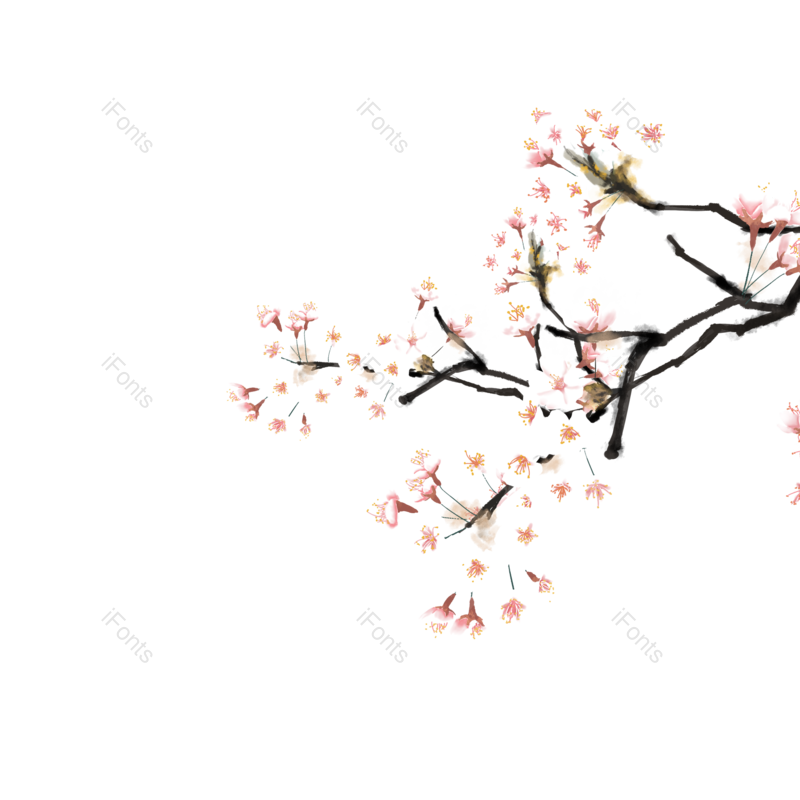 鲜花图片,春季元素,樱花PNG,春天免抠素材